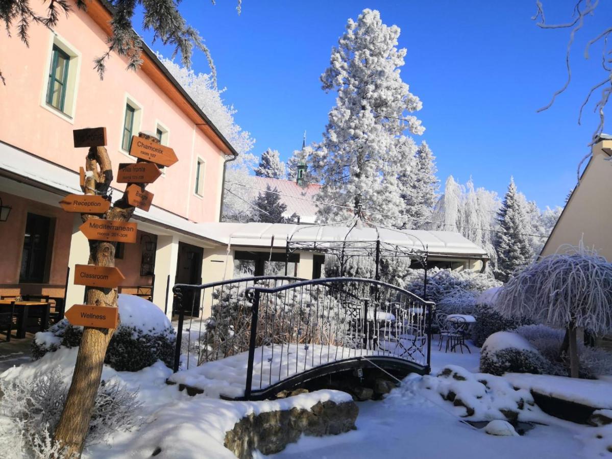 Hotel Via Ironia Високе-Мито Экстерьер фото